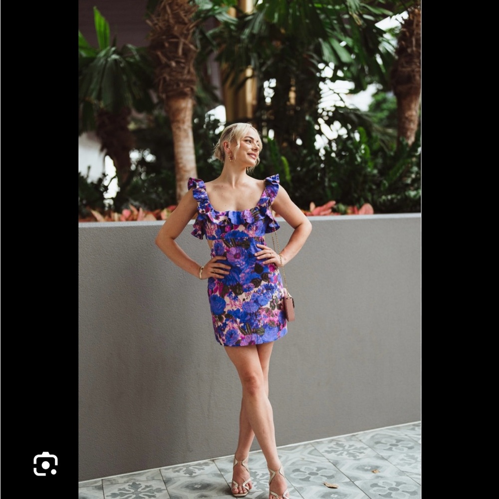 Zimmermann High Tide frilled purple Ikat Floral Mini dress